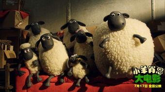 小羊爆料视频最新消息,最新视频揭露惊人内幕 第1张 小羊爆料视频最新消息,最新视频揭露惊人内幕 第1张