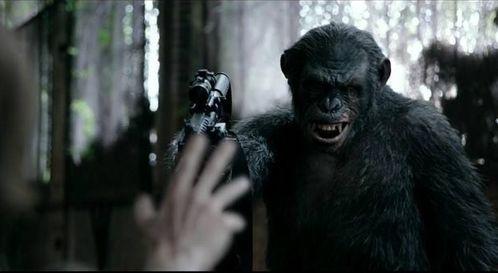 猿族崛起2在线观看,进化之战在线观影指南